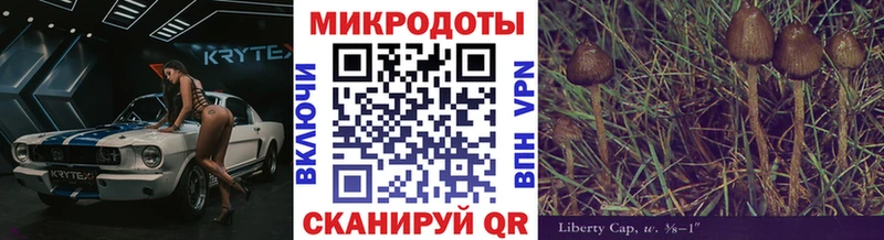 сколько стоит  Боготол  Псилоцибиновые грибы прущие грибы 